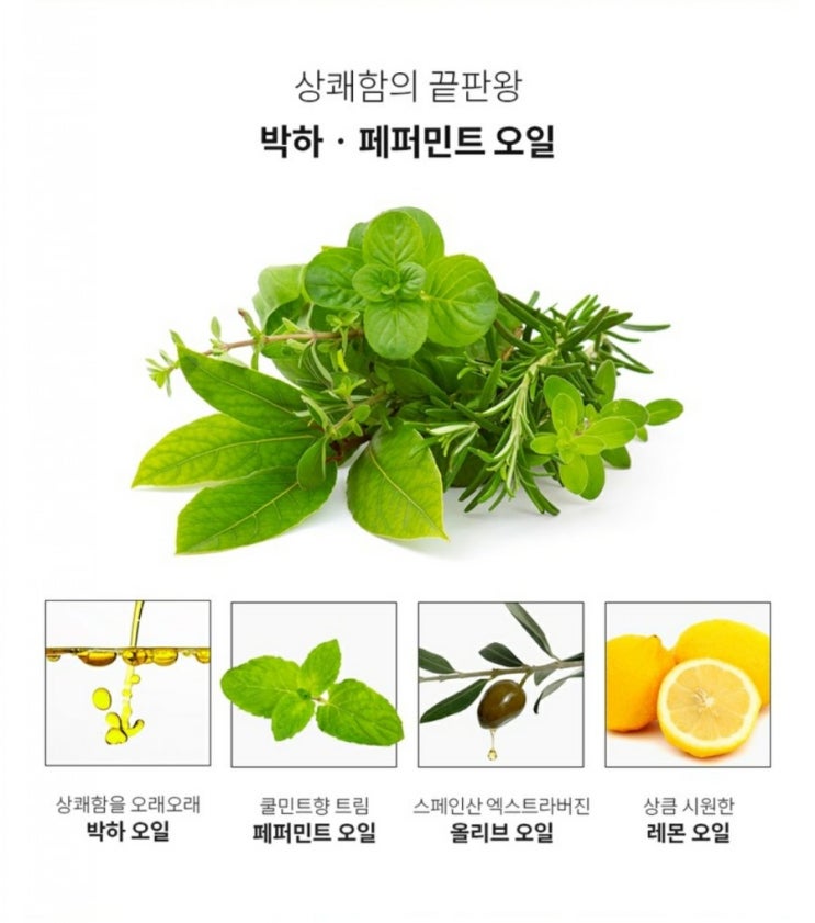  [쇼핑고고]덴티오 속가글