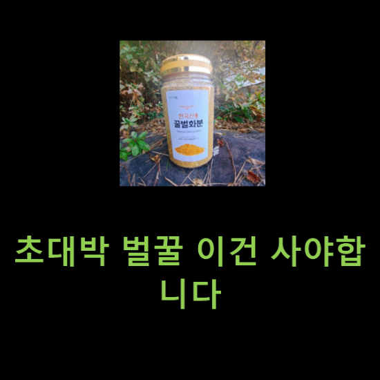 초대박 벌꿀 이건 사야합니다 초대박 벌꿀 이건 사야합니다