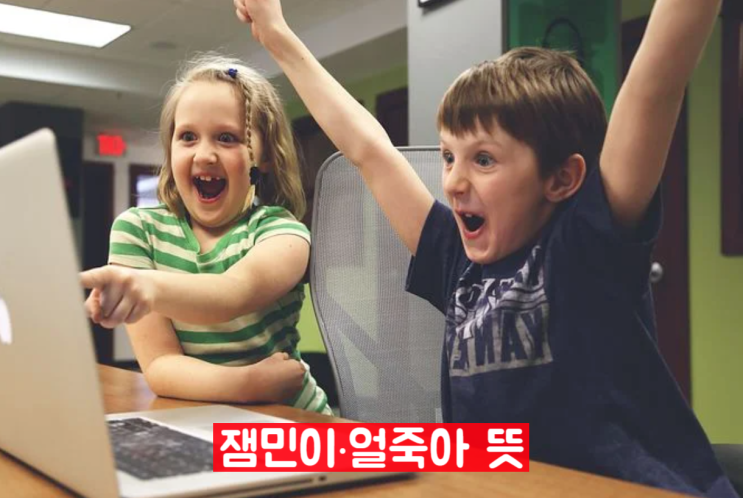 잼민이 얼죽아 뜻