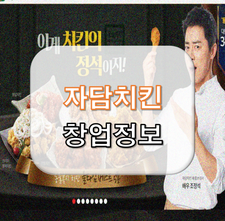  숫자로 보는 자담치킨 창업비용 창업정보