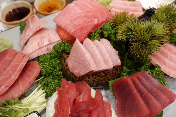  혼마구로가 예술이였던 일산명참치