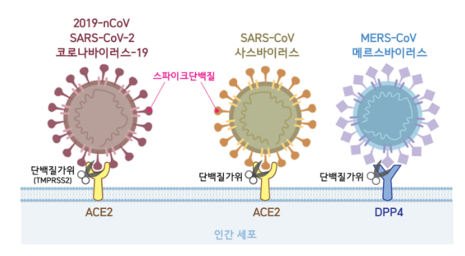  [사회적 거리 두기 3단계 검토 중] 영국 발 변종 바이러스까지 발견됐다고 하니 걱정입니다.