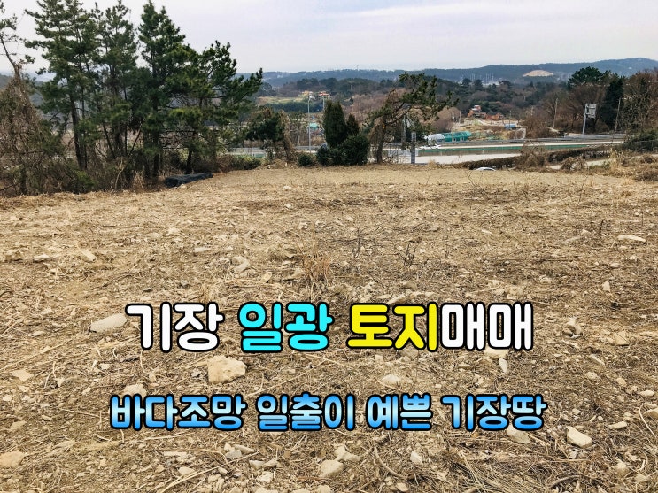  기장부동산(3-56) 먼다바다 조망 가능한 일출이 예쁜 저렴한 기장토지 일광땅 1,134m2매매 입니다 농지원부 일광부동산