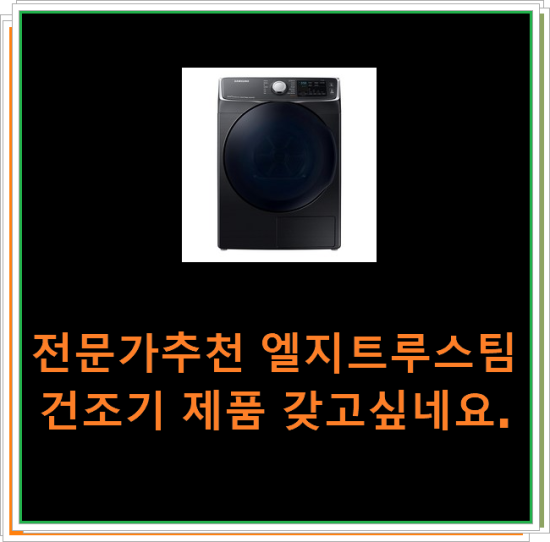  전문가추천 엘지트루스팀건조기 제품 갖고싶네요.