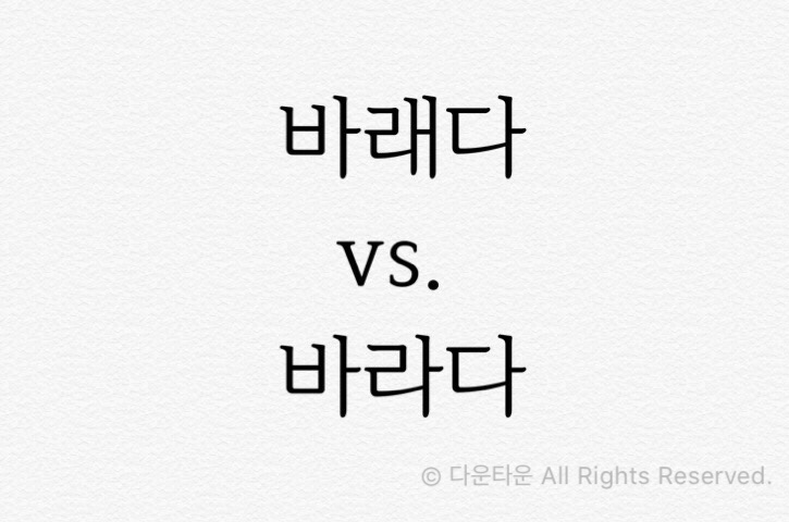  헷갈리는 말::바래다 vs. 바라다