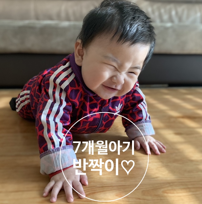  생후7개월 아기발달 반짝이의 일상