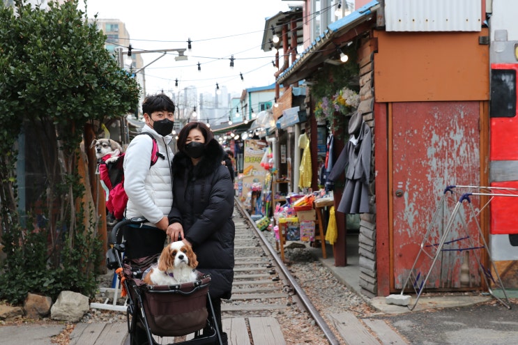 군산 애견동반 여행 코스 경암동 철길마을