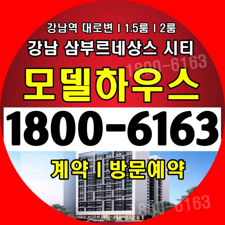 강남역 강남대로 강남 삼부르네상스 시티 분양