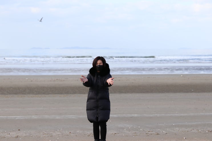  겨울바다 강아지랑 보러가기 춘장대해수욕장