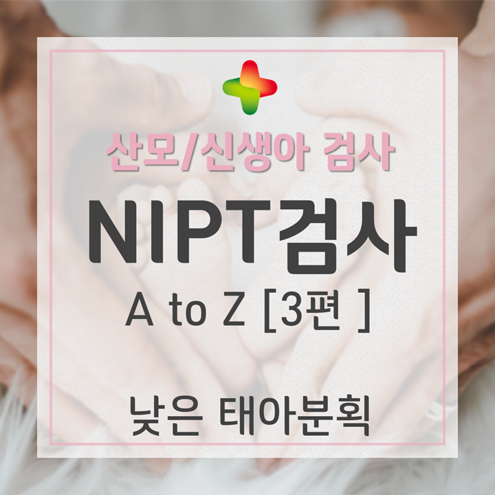 NIPT 검사(니프트검사) 3편: 낮은 태아분획이란?(NIPT 재채혈/fetal fraction)