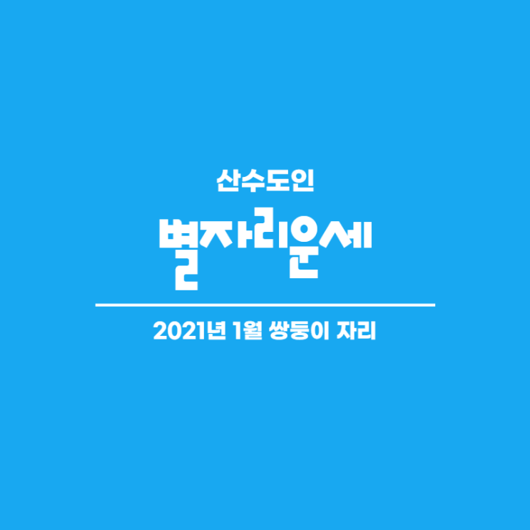  2021년 1월 별자리운세 쌍둥이자리 산수도인