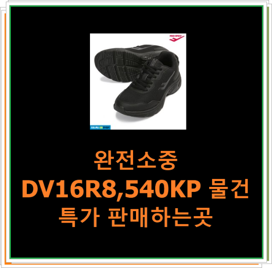  완전소중 DV16R8,540KP 물건 특가 판매하는곳