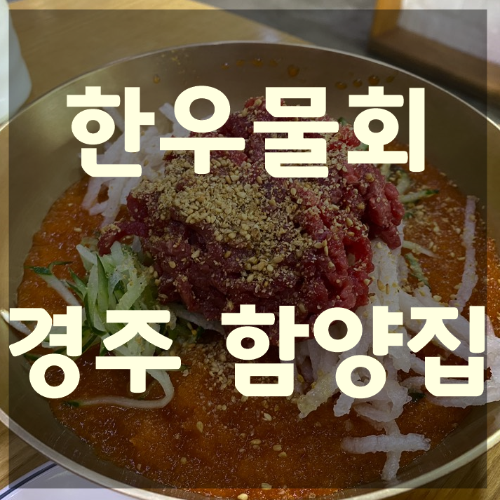  경주 첨성대근처 맛집 경주함양집 한우물회맛집