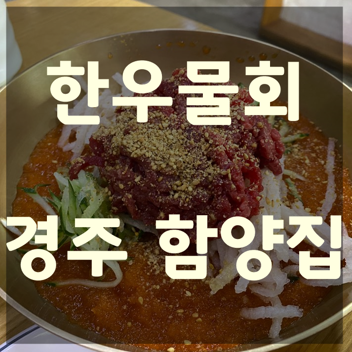 경주 첨성대근처 맛집 경주함양집 한우물회맛집