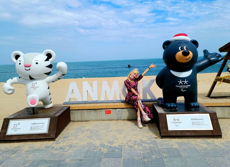  강릉 여행코스 안목해변 강릉커피거리 커피빵