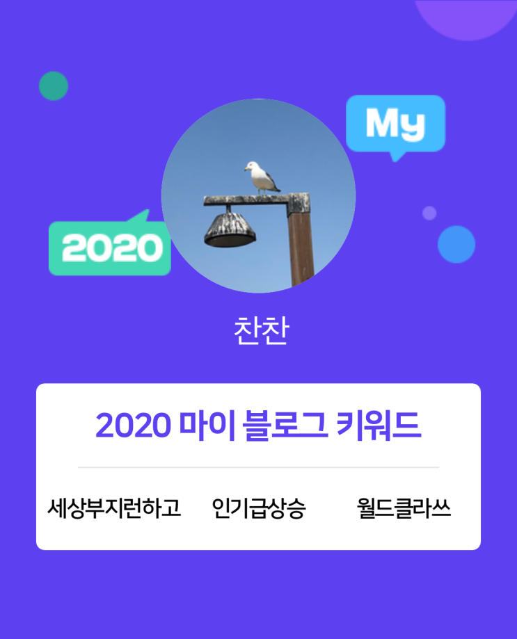  [2020 마이블로그 리포트] 한 눈에 보는 올해 내 블로그 데이터!