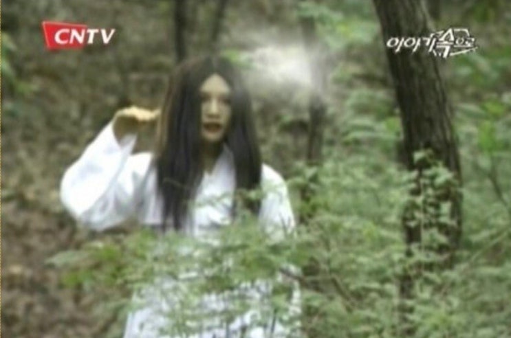  산에서 귀신 본 디씨인