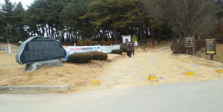  [세종 조치원 관광명소] 오봉산 (262.5M) 산책 & 주말 운동하기 좋은 곳