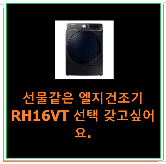  선물같은 엘지건조기RH16VT 선택 갖고싶어요.
