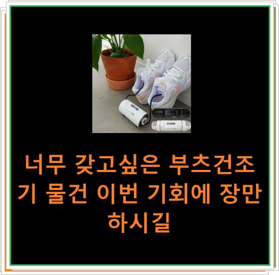  너무 갖고싶은 부츠건조기 물건 이번 기회에 장만하시길