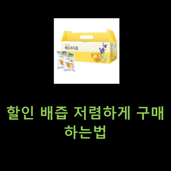 할인 배즙 저렴하게 구매하는법 할인 배즙 저렴하게 구매하는법