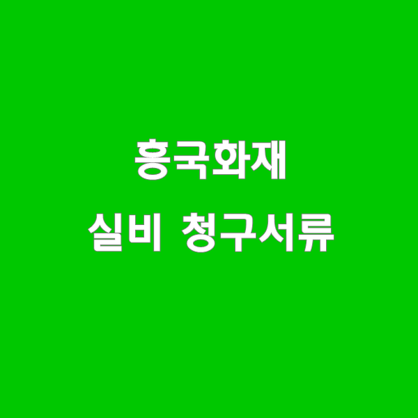  흥국화재 실비보험 청구서류