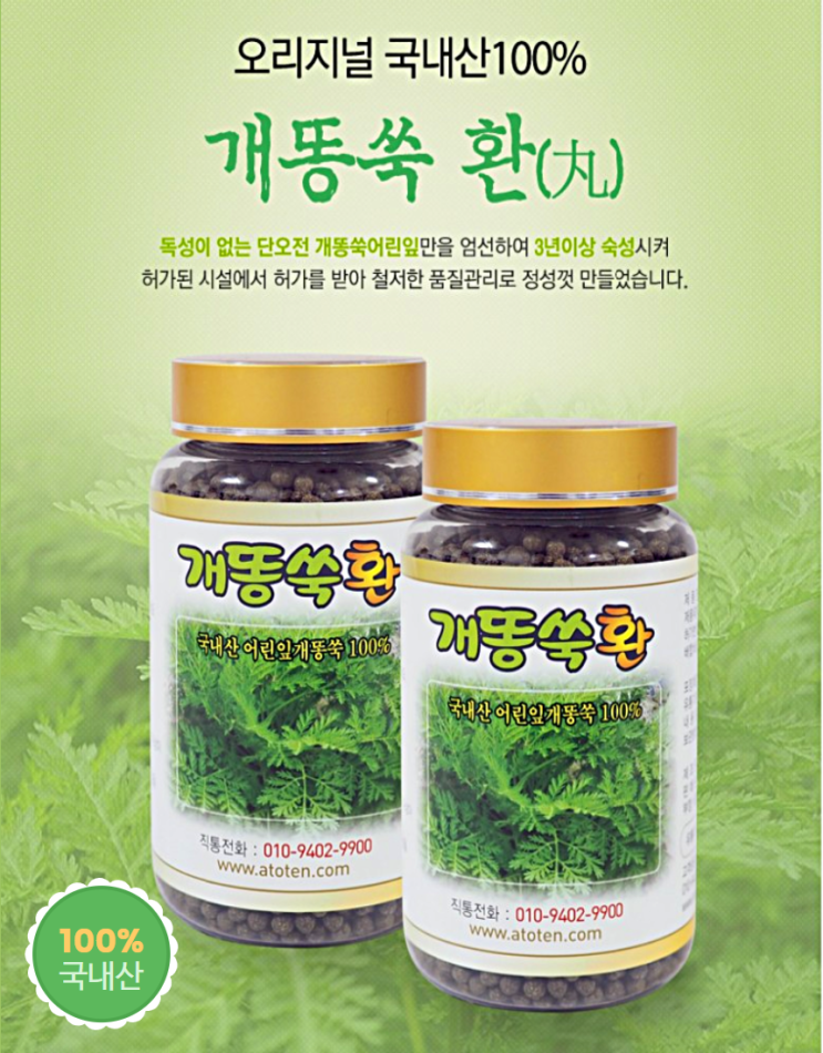  개똥쑥 국내산100% 어린잎 개똥쑥환