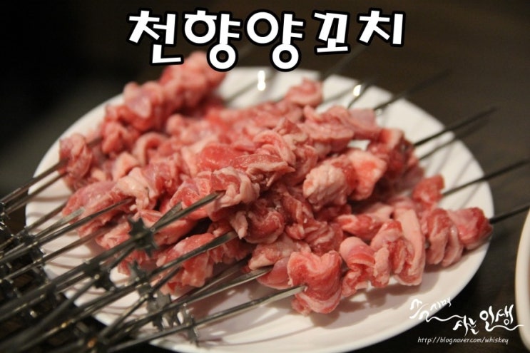  [논현역 양꼬치] 천향양꼬치 양꼬치 맛나는 잠원동 맛집