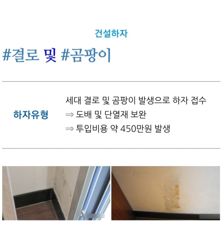 [1년 전 오늘] 결로 및 곰팡이 세대 내부 발생 하자