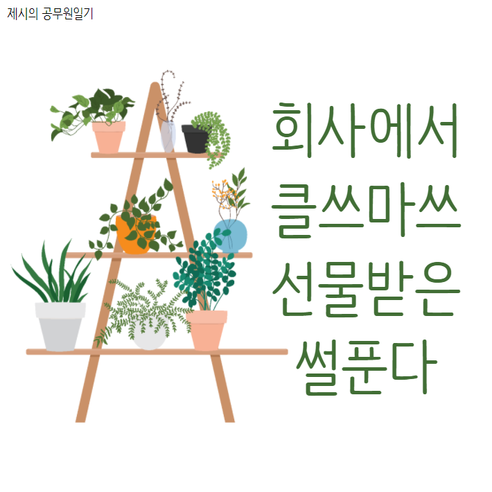  회사에서 크리스마스 선물도 준다