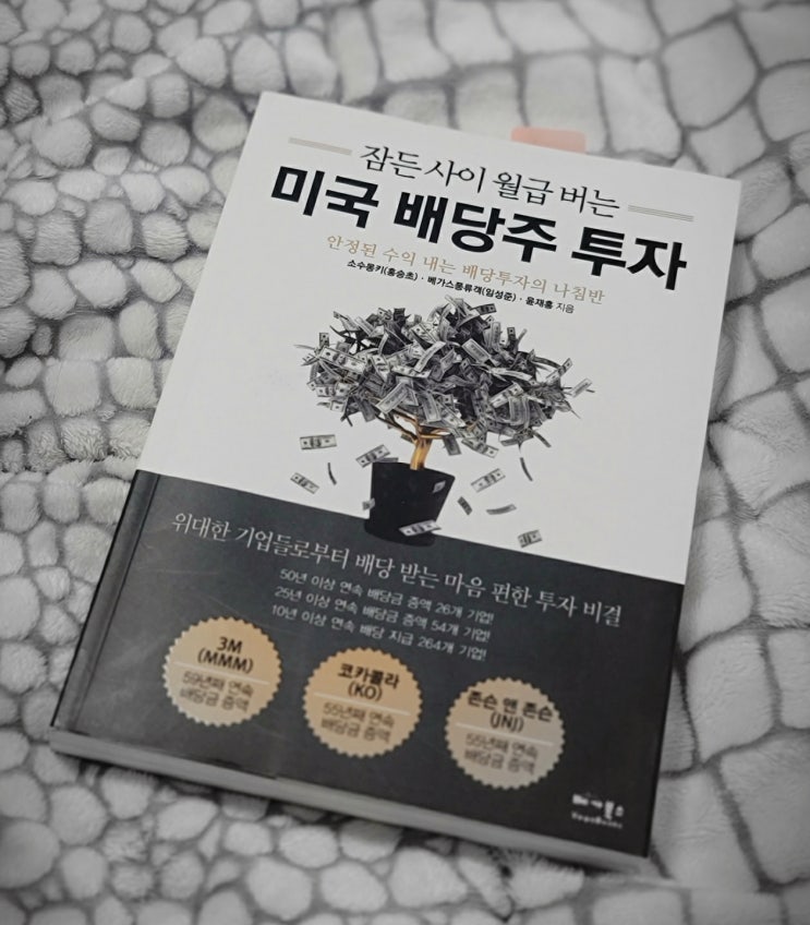  잠든 사이 월급 버는 미국 배당주 투자 - 소수몽키, 베가스풍류객, 윤재홍 서평