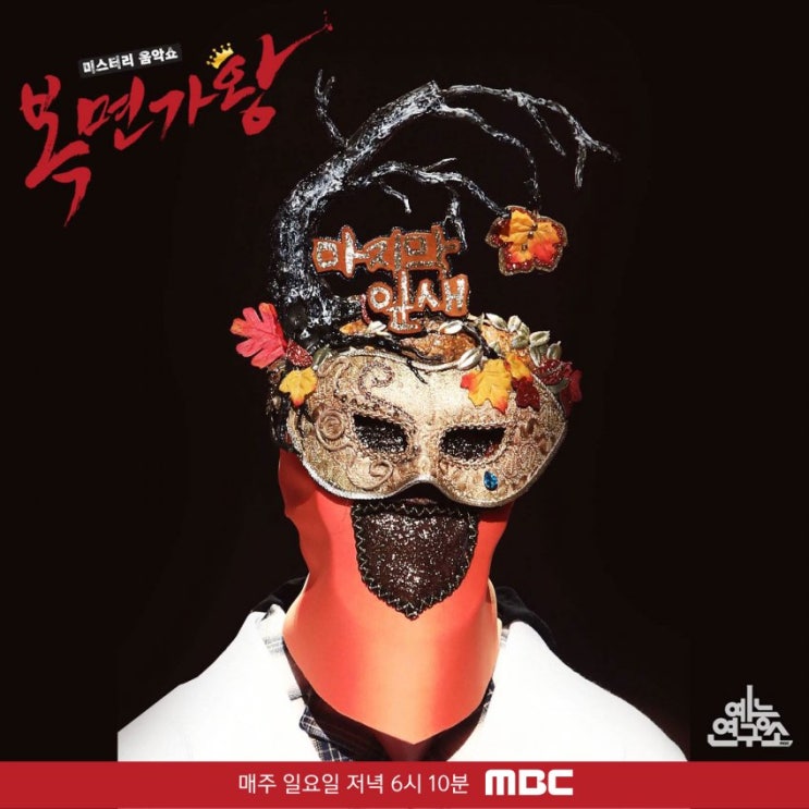 복면가왕 마지막잎새, 벌써일년, 십이지신, 십장생 정체 복면가왕 마지막잎새, 벌써일년, 십이지신, 십장생 정체