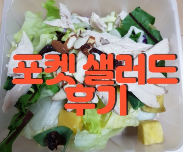  포켓샐러드 솔직 후기 간편하고 편해요