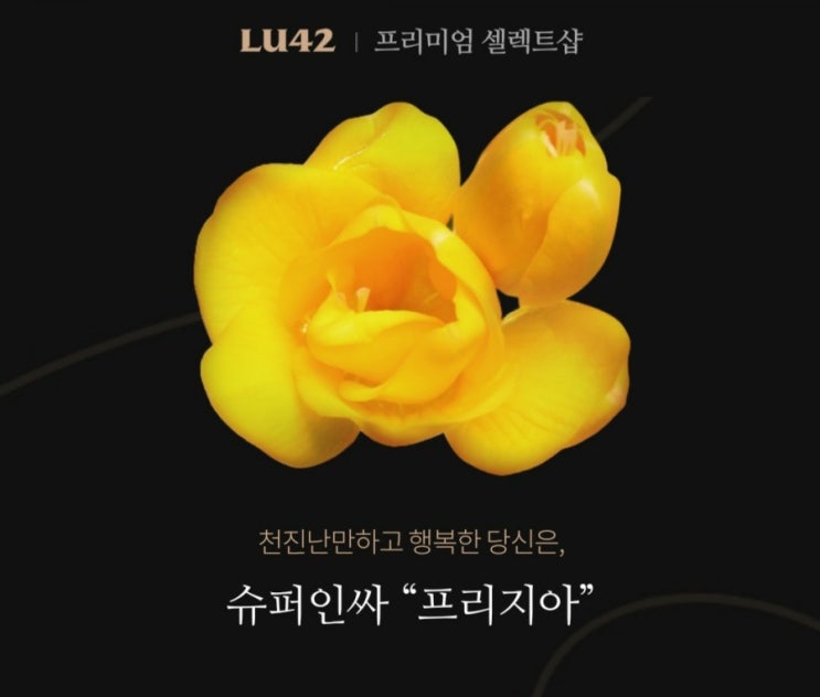  꽃 mbti 성향 테스트(힘들고 지친 의료진에게 후원)