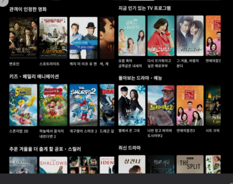  '쿠팡플레이' 쿠팡TV,토종OTT 미디어 시장 최강자 될까?