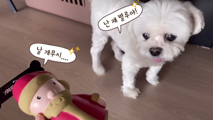  크리스마스 선물로 받은 장난감으로 즐겁게 노는 삼개!