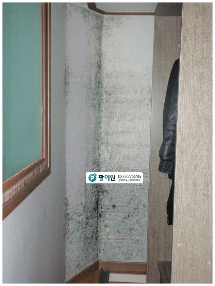  붙박이장 뒤 벽 곰팡이제거 후 포자균 살균까지~