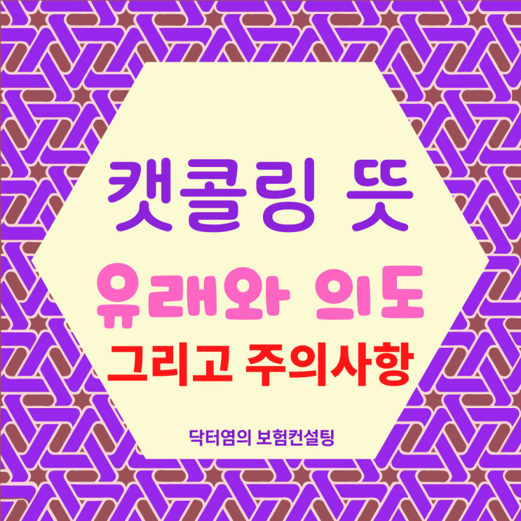  캣콜링 뜻 유래와 의도 그리고 주의사항
