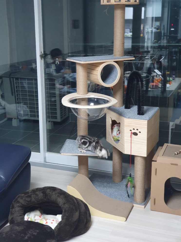 고양이 후추 캣타워 만들어주기