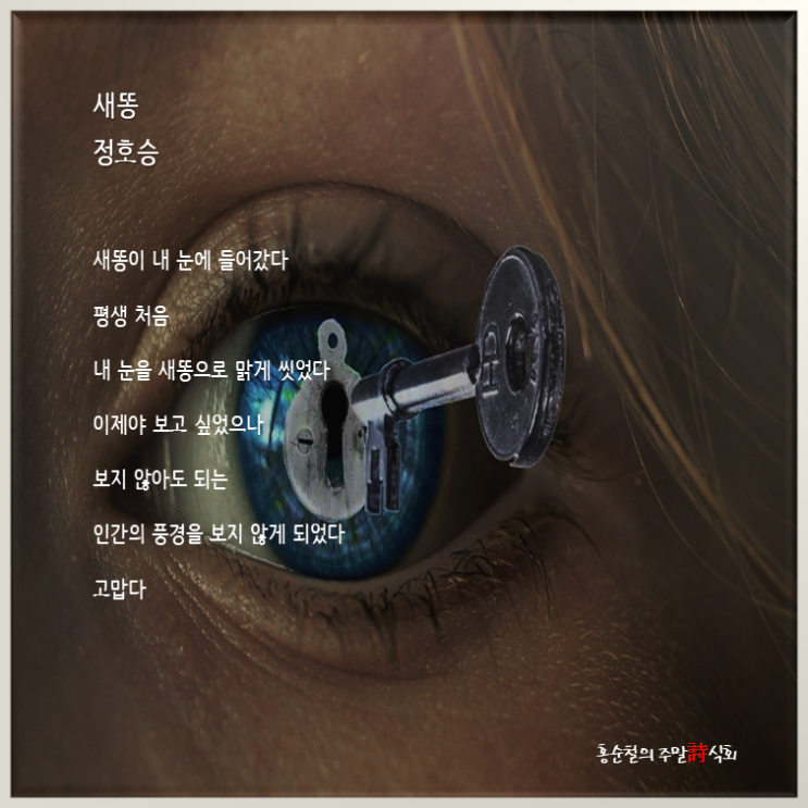  정호승 시인, 『당신을 찾아서』, 창비, 「새 똥」
