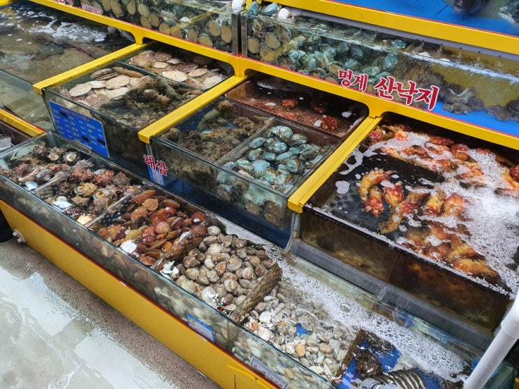  내돈내먹으로 만족한 가락시장회센터 대박수산