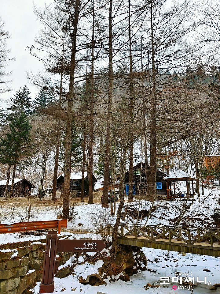 [홍천 가볼 만한 곳] 국립 삼봉자연휴양림 조용하고 한적했던 휴양림(Feat. 햇빛지구 숲속의 집 뻐꾸기)