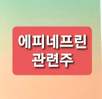 에피네프린 관련주 총정리 에피네프린 관련주 총정리