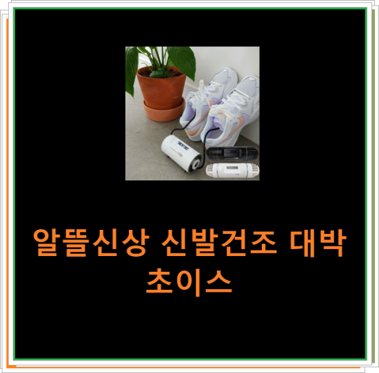  알뜰신상 신발건조 대박 초이스