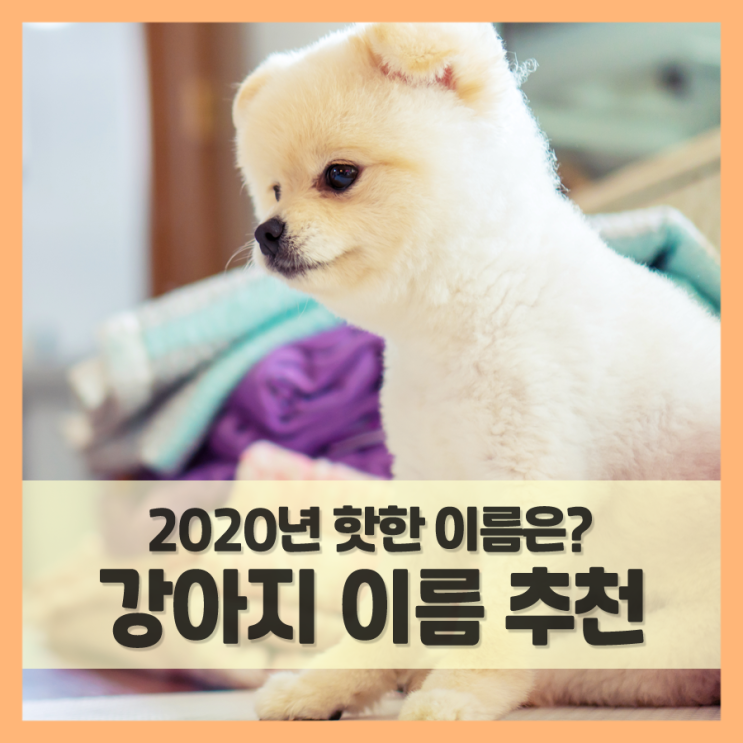 강아지 이름 추천, 2020년 유행 트렌드는?