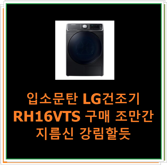  입소문탄 LG건조기RH16VTS 구매 조만간 지름신 강림할듯