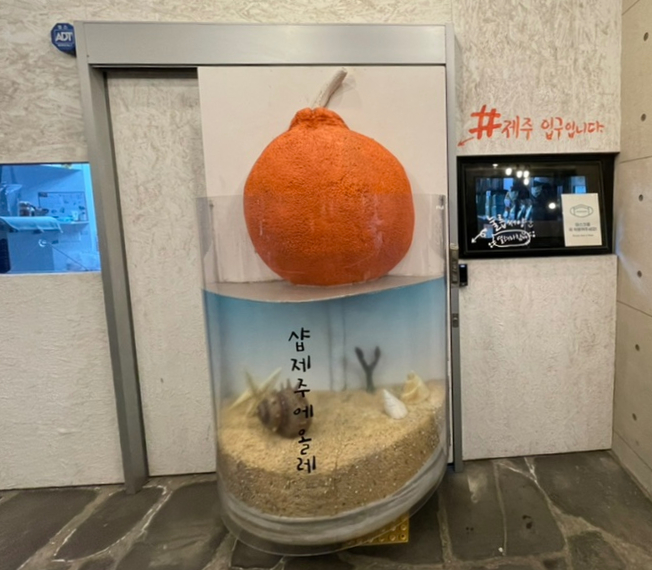  [제주 여행] 샵제주, 커피도 마시고 제주 특산품도 쇼핑할 수 있어 가볼만한 곳.