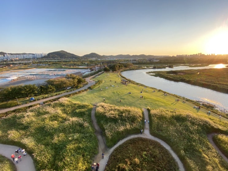 시흥갯골생태공원 : 서울근교 나들이 가기좋은 곳