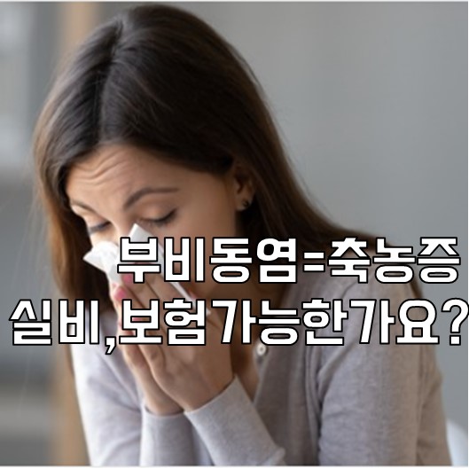  부비동염 실비, 보험 적용 가능한가요?