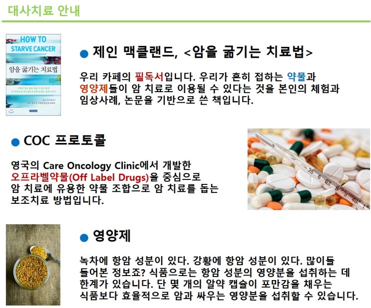  암 대사치료 가이드